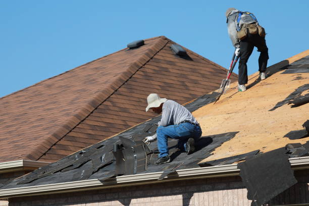 Best Storm Damage Roof Repair  in USA